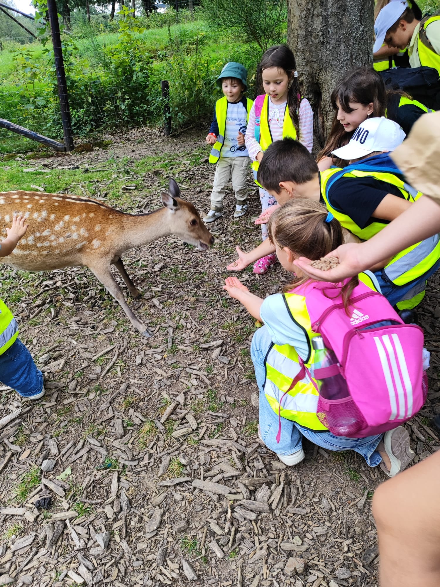 Projekt "Fröhliche Ferien": Ein unvergesslicher Sommer für Flüchtlingskinder