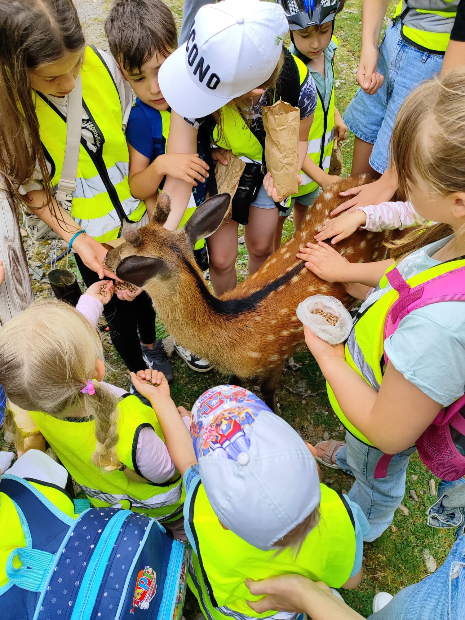 Projekt "Fröhliche Ferien": Ein unvergesslicher Sommer für Flüchtlingskinder
