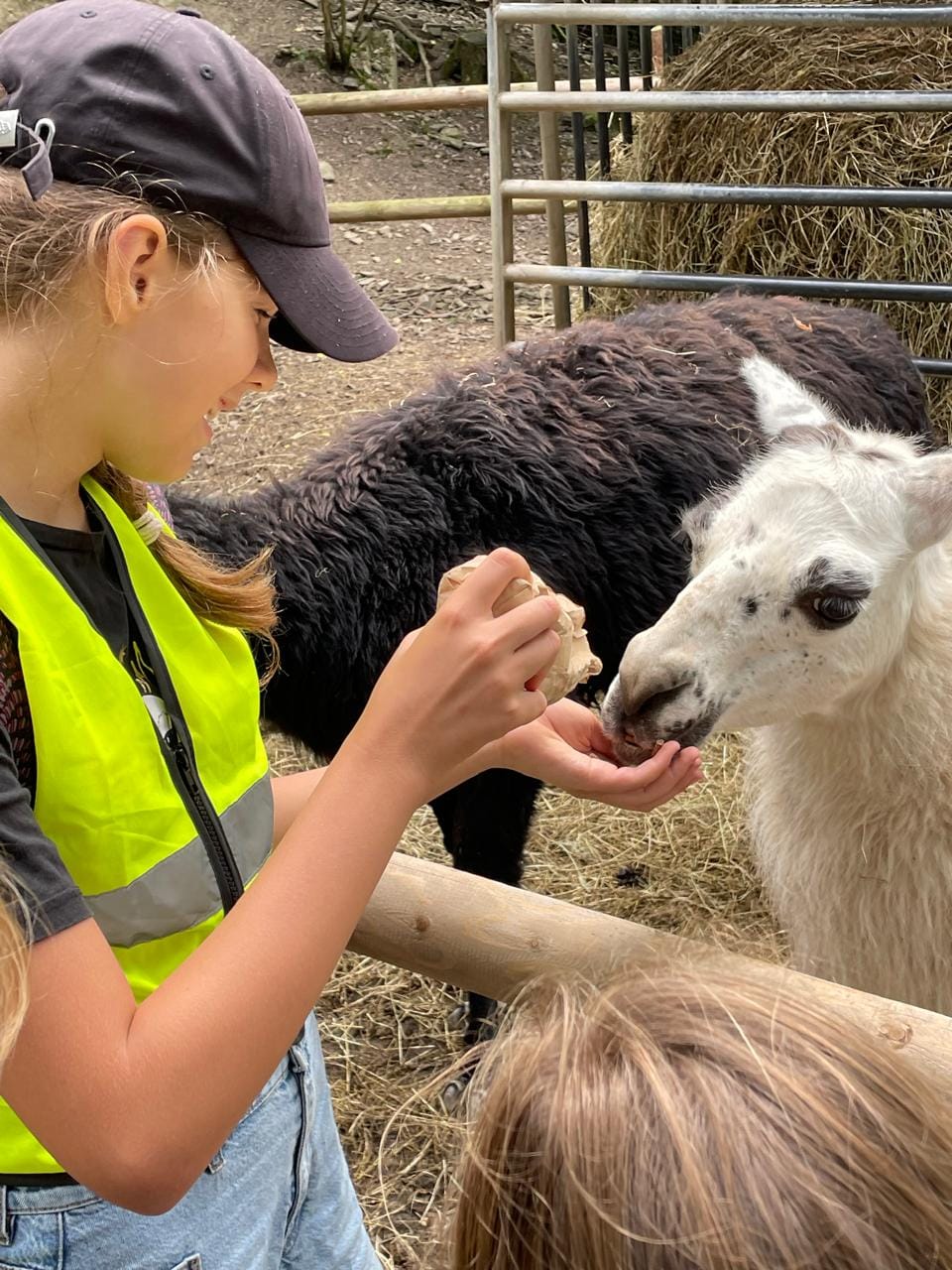 Projekt "Fröhliche Ferien": Ein unvergesslicher Sommer für Flüchtlingskinder